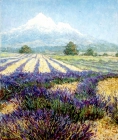  Картина Лаванда