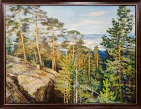 В окрестностях Кандалакши